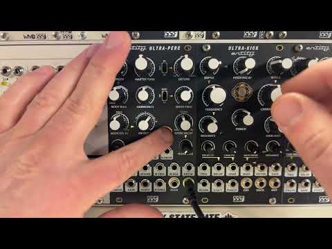 Steady State Fate Entity Ultra-Perc— Clockface Modular