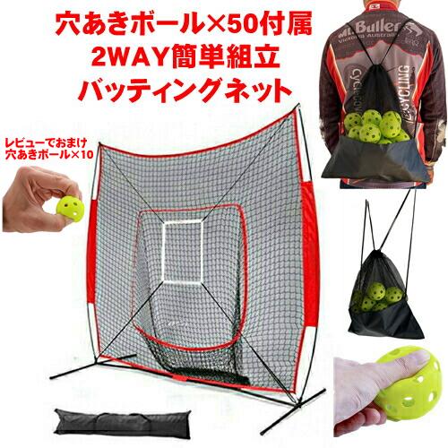 野球 ネット バッティングネット 穴あきボール50個 2点セット 集球