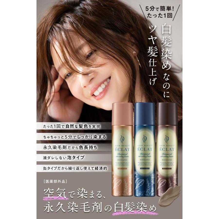 大容量 ヘアボーテエクラ ボタニカル エアカラーフォーム EX ダーク