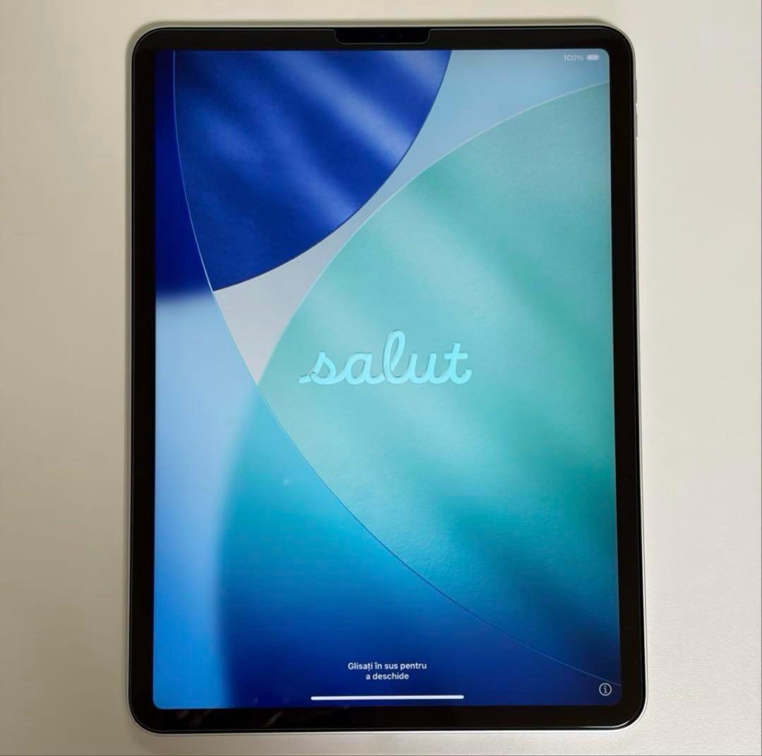 iPad Pro 11インチ第3世代 本体 Apple iPad Pro 11インチ 第3世代 Wi-Fi+Cellular 256GB 2021年春